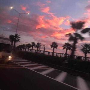 在线观看亚洲AV无码专区
